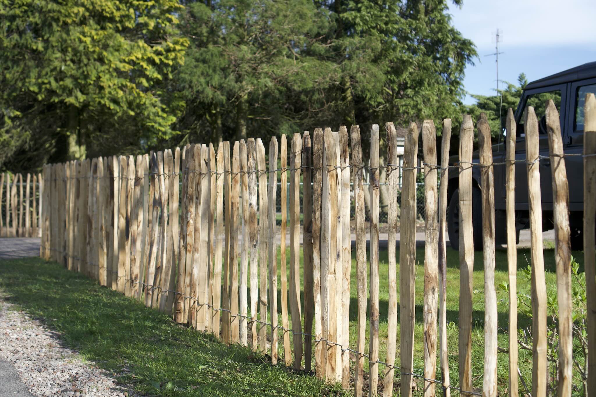 Kastanje of hazelaar schapenhek: wat is het verschil?