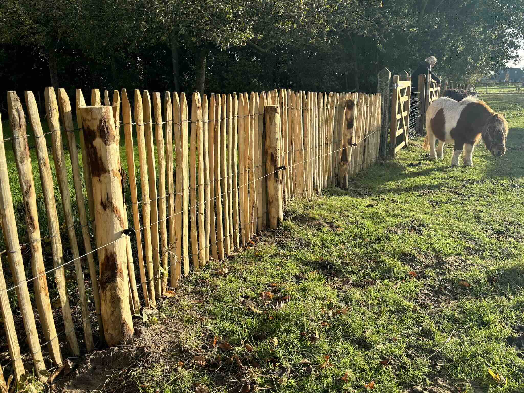 Frans schapenhek 120 cm hoog